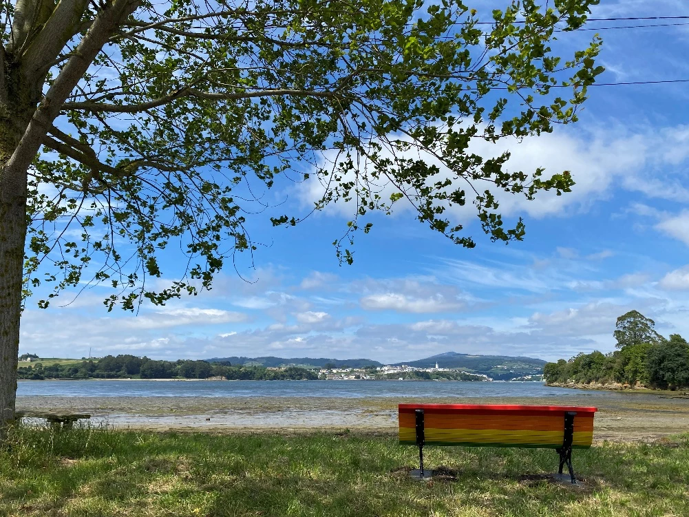 Observación de aves en la Ría del Eo y Río Eo