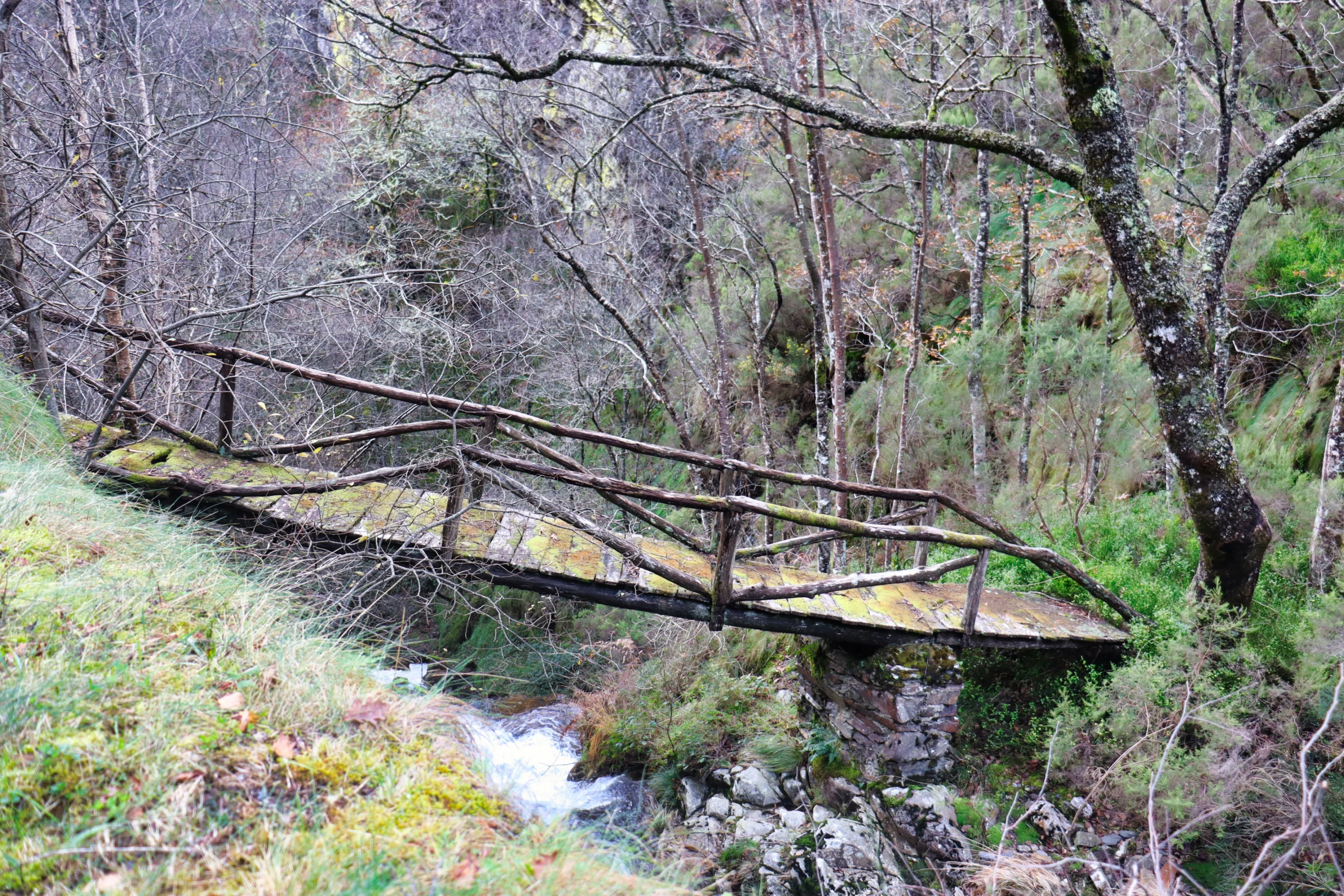 Ruta del Esqueicer